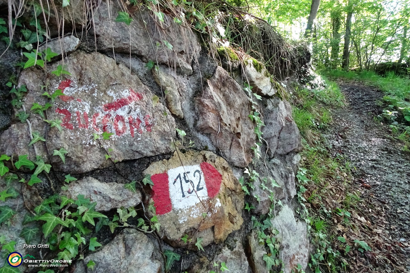 23 Sentiero 152 per Corno Zuccone.JPG